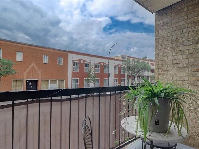 Cozy Shared Condo In Best Montreal Area 0*,